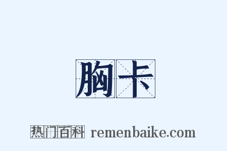 胸卡是什么意思的图片